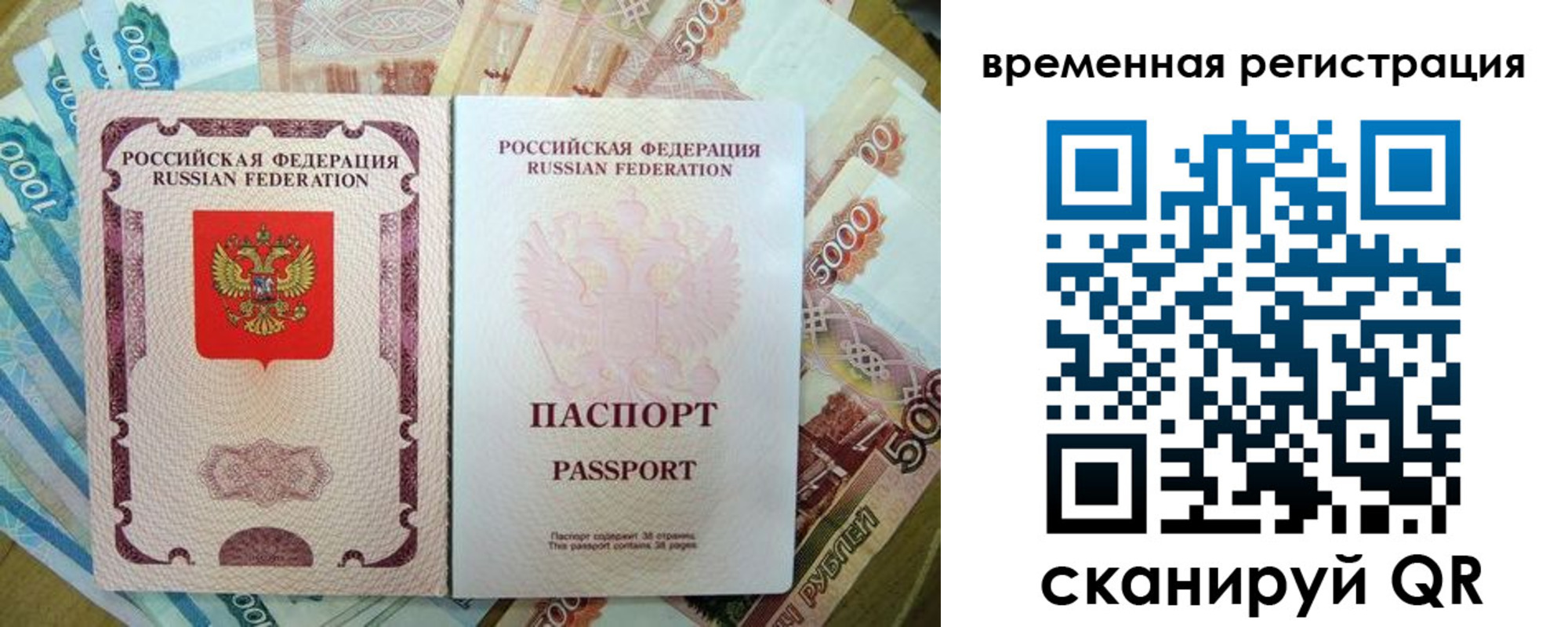 прописка для школы в Болотном